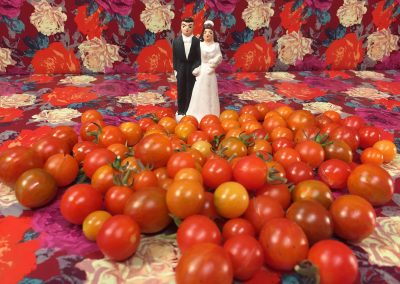 Gabrielle de Montmollin, Mariage a la tomate, 2017