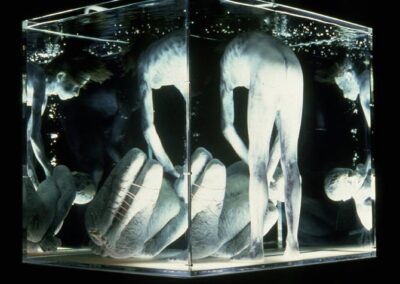 Aquarium, 1975 (mixed media, polyester resin, fiberglass, with bubble motion, 48" X 42" X 78")